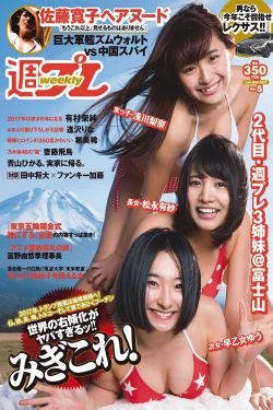 绝望主妇第五季